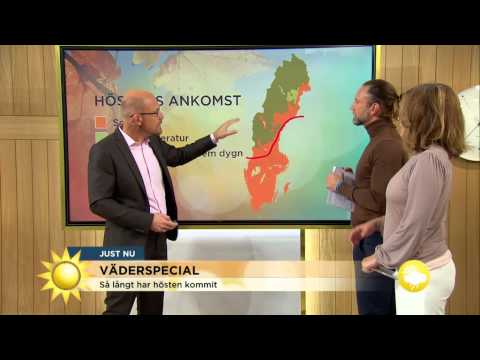 Väderspecial: Så långt har hösten kommit - Nyhetsmorgon (TV4)