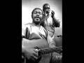Sonny Terry & Brownie McGhee - Drinking in the Blues