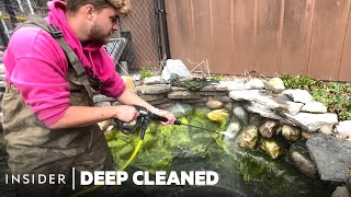 How An Algae-Infested Koi Fish Pond Is Deep Cleaned | Deep Cleaned | Insider