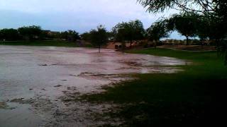 Sahuarita bring the rain