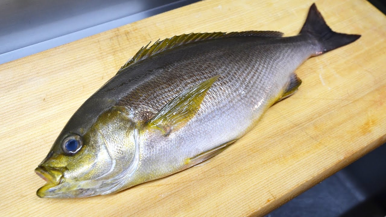 寿司職人によるイサキの仕込みから握りまで〜How To Make Grunt Sushi〜