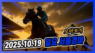 20245년 10월 19일 일요 서울경마 전체경주 모아보기