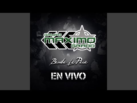 El Tacuache (feat. Banda La Pava) (En Vivo)