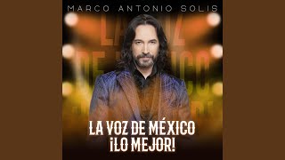 Si Te Pudiera Mentir (Live Version)