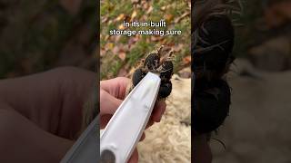 This is how to trim your dogs paws easier😍
