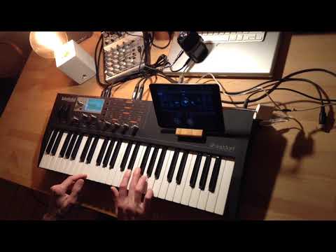 Midnight Jam - Waldorf Blofeld, EOS2 Reverb iOS