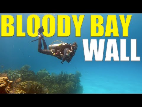 We Take The DIVE BOATS To LITTLE CAYMAN To Dive BLOODY BAY WALL