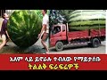 ብየአለማችን ትልልቆቹ ፍራፍሬዎች World Biggest Fruits Zena Addis Ethiopia