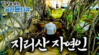 ⛰️이게 진짜 행복이지. 공기 좋고 물 맑고 지리산 깊은 산속, 자연인의 하루⛰️1시간 몰아보기｜한국기행｜#tv로보는골라듄다큐