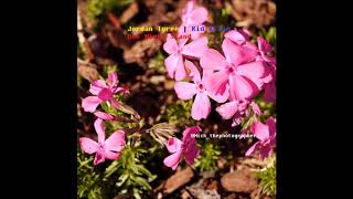 Jordan Tyree - One Night Stand Ft. Kid Kilam (Audio Only)