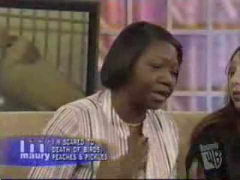 Maury - Birds Phobia (Fobia a los Pájaros)