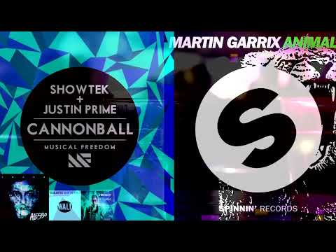 Years vs. Cannonball vs. Animals vs. Top Of The World vs. LRAD (Hardwell Tomorrowland 2013 Mashup)