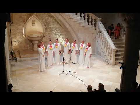 Podiglo se malo četovanje (Ženska kapa FA Linđo u Dvoru, 2020.)