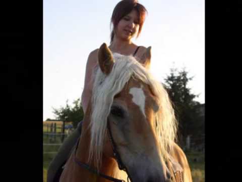 Meine Pferde - wie alles angefangen hat