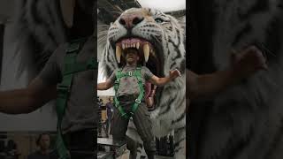 Download lagu #buta adegan serangan harimau putih pada aktor mp3