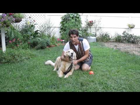 how lucky can you get Peterv dress up