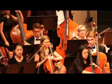 Allegro ma non troppo e un poco maestoso