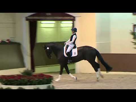 Kat.-Nr. 12 Zonik Black