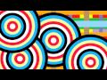 Half Japanese - This Is What I Know