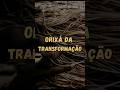Sabe Qual É O Orixá da Transformação?