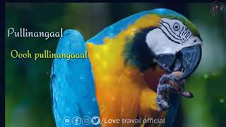 Pullinangal song what's app status | rajinikanth | AR.Rahman | Shankar| na.muthukumar| bamba bakya