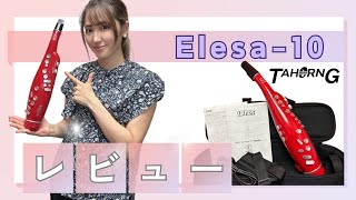 TAHORNG(タホーン) ／ Elesa10 (エレサ) 電子サックス・デジタル