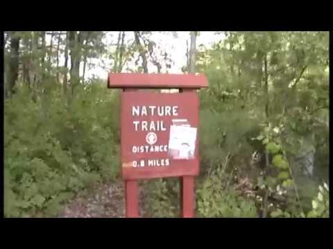 Fish hatchery 100817