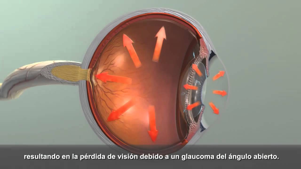 Raúl Pineda Gaona-22