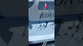 Where do you want to ride big or small!.. #cruiseship #travel #vacation #shorts #yt #ytshorts