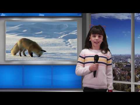 De Facto - VULPEA, prezentat de ALEXANDRA MINCU