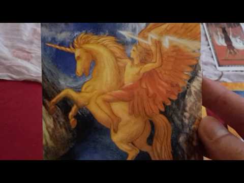 Magisches Wochenorakel vom 15.8 bis 21.8.16