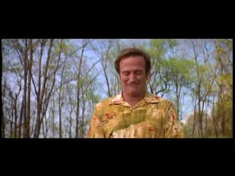 La Farfalla Tozzabancone