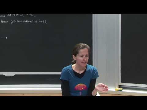 10. Protein Folding 3