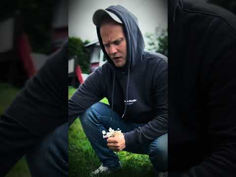 Kim Kvamme - Tjommi (Musikkvideo)