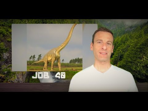 Job Chapter 40 Summary and What God Wants From Us