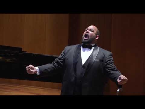 "Tombe degli avi miei" from Lucia di Lammermoor by G. Donizetti/ Jorge Puerta tenor