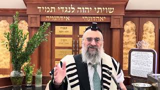 שירים שמותרים מתקנת רבנן מאז חורבן בית המקדש (הרב יצחק ישראלי) - התמונה מוצגת ישירות מתוך אתר האינטרנט יוטיוב. זכויות היוצרים בתמונה שייכות ליוצרה. קישור קרדיט למקור התוכן נמצא בתוך דף הסרטון