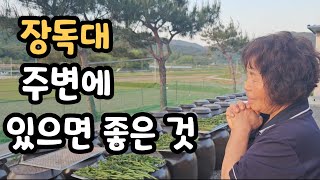 Download lagu 장독대 주변에 있으면 좋은 것???  상온에서도 변하지 않는 장 mp3