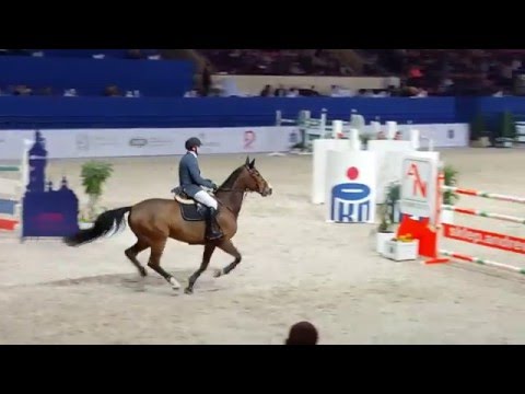 Gigollo  (2008 / H Rock Forever - Coriander), 150 cm Longines . CSI-W3* Warsaw