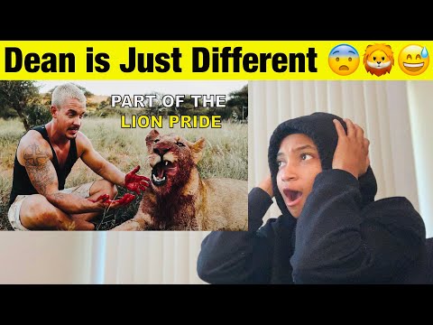 Part of the Lion Pride Reaction