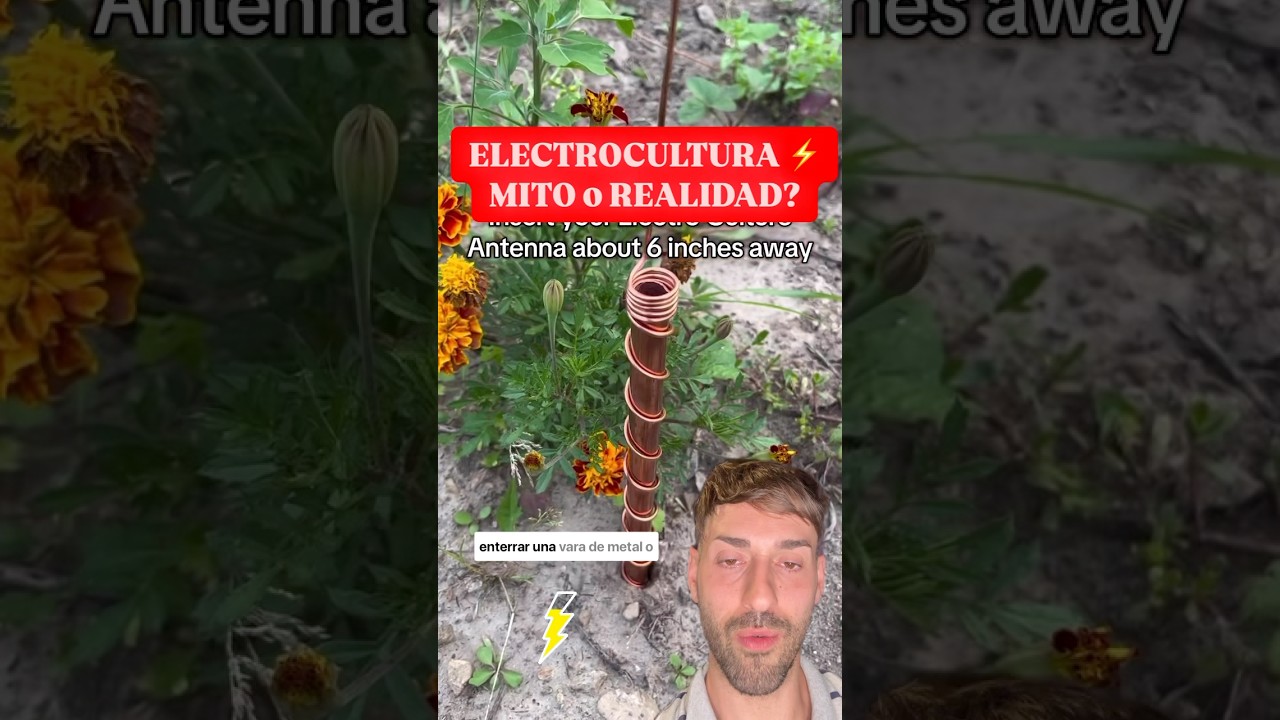 Bury COPPER in your Plants and Something Amazing Will Happen!