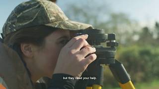 カナダの環境保全プロジェクトを支援「Coastal Pollution Mapper」