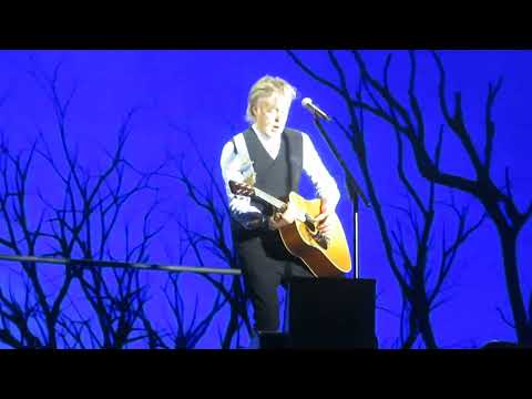 Blackbird - Paul McCartney (Cordoba 2024)