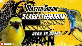 Download lagu MASTERAN SOGON 2 LAGU SATU TEMBAKAN | pleci zipper sogon bedjo!!! #sogon #sogongacor #sogokontong mp3 Download lagu MASTERAN SOGON 2 LAGU SATU TEMBAKAN | pleci zipper sogon bedjo!!! #sogon #sogongacor #sogokontong mp3