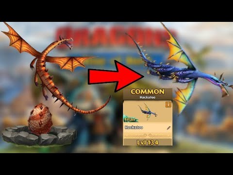 Hackatoo Max Level 134 Titan Mode - Dragons:Rise of Berk