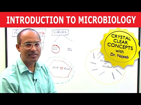 Introduction to Microbiology
