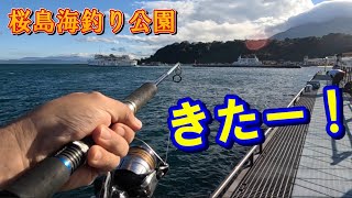 鹿児島県桜島海釣り公園でとんでもない事がおきた！