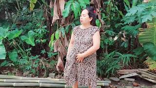 Download lagu Mama review pisang yang mau dipetik mp3 Download lagu Mama review pisang yang mau dipetik mp3