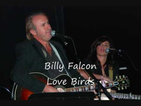 Billy Falcon Love Birds