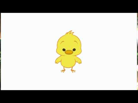 El Pollito Y La Gallina - Miss Rosi